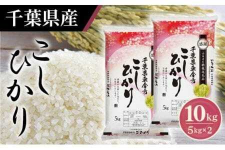 No.160 令和7年産 千葉県産コシヒカリ5kg×2袋 ／ 令和7年 新米 米 お米 こめ コメ 精米 白米 ご飯 国産米 こしひかり 甘み 粘り 香り ツヤ お取り寄せ 産地直送 産直 千葉産 千葉県 特産品