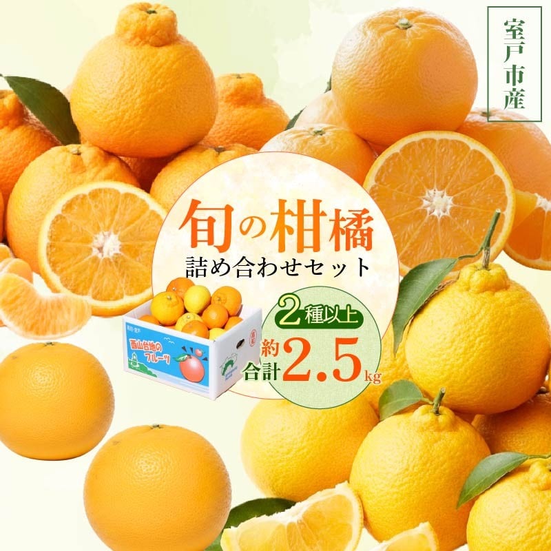
                  【 柑橘 詰め合わせ 2.5㎏ 訳あり 】 旬 食べ比べ 2種以上 セット ミカン みかん 蜜柑 ポンカン ぽんかん せとか デコポン 不知火 しらぬい なつみ 小夏 フルーツ ふるーつ くだもの 果物 青果 柑橘類 訳アリ わけあり 規格外 不揃い 傷 産地直送 産直 旬 期間限定 予約 家庭用 自宅用 お取り寄せ 西山台地のフルーツ園 高知県 室戸市
                