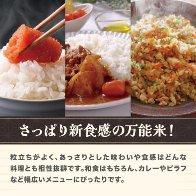 ふるさと納税 尾花沢市 令和7年産 新米 玄米 雪若丸 30kg 山形県尾花沢市産 ja-ywgxa30 |  | 02