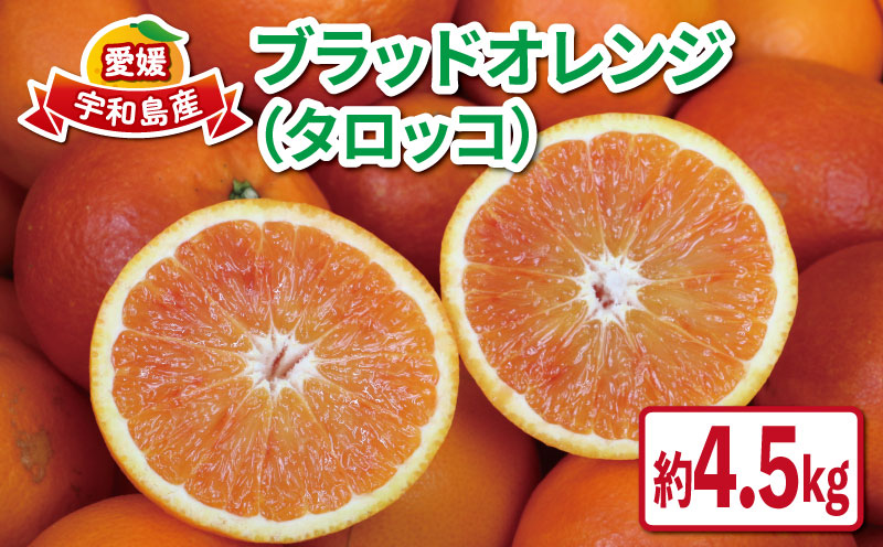 ブラッドオレンジ タロッコ 4kg ブラッド オレンジ 愛媛みかん オレンジ つばさ農園 ブラッド オレンジ B010-048003