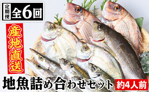D09001 【6回定期便】魚屋さんの選んだ新鮮お魚詰め合わせ(約4人分) 鹿児島 国産 九州産 産直 産地直送 鮮魚 新鮮 魚 海産物 お刺身 煮つけ 焼き魚【マルケイ水産】