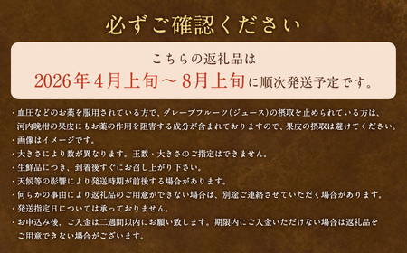 【2026年4月上旬より順次発送】贈答用 河内晩柑 10kg【えひめの町（超）推し！（愛南町）】(383-1)