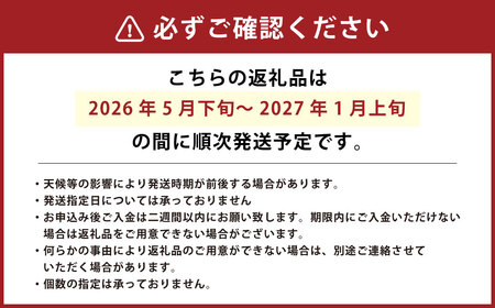 【竹田市産】高原トマト 16～28個 【2026年5月下旬-2027年1月上旬発送予定】