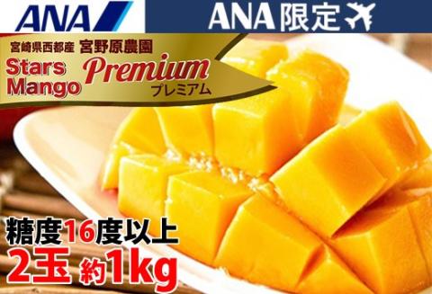 【ANA限定】糖度16度以上！宮崎スターズマンゴープレミアム 2～3玉（約1ｋｇ）宮野原農園《先行予約》<3.5-10>