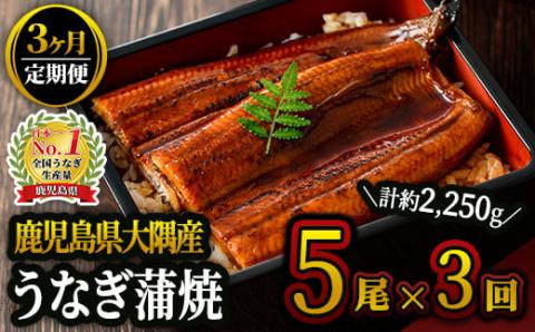 【３ヶ月定期便】鹿児島県大隅産うなぎ蒲焼5尾（750ｇ）【国産】毎月お届け  本格 うなぎ 鰻 蒲焼（鹿児島）