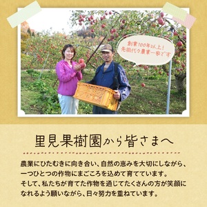 有機肥料栽培　葉とらずサンふじ　上山市産　５ｋｇ　１６～２３玉　秀品　0079-2435