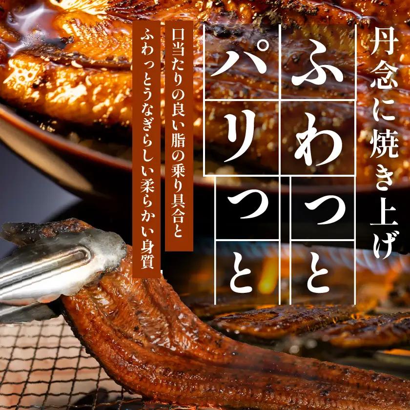 宮崎県育ちの【特大】うなぎ蒲焼2尾440g以上≪山椒・たれ付≫〔18-M301〕_(都城市)  特大うなぎ蒲焼(有頭) 宮崎県産 真空 山椒・たれ付