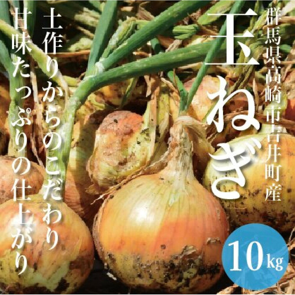 【ふるさと納税】群馬県高崎市吉井町の玉ねぎ（10kg） | 食品 玉ねぎ たまねぎ 農家 大容量 ドレッシング 料理 人気 おすすめ 送料無料
