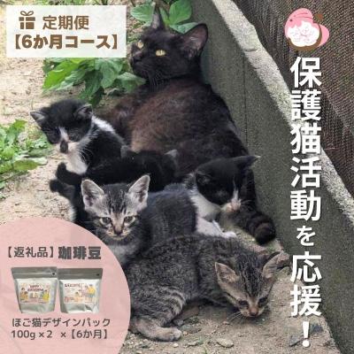 ふるさと納税 小郡市 定期便 6回 保護猫活動を応援! 珈琲豆 2種各100g×6カ月[No5354-0928]