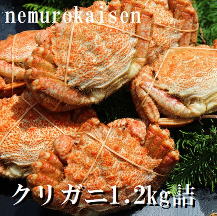【ふるさと納税】[北海道根室産]クリガニ200～250g×5～6尾(計1.2kg) A-57056