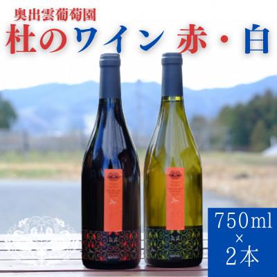 ふるさと納税 雲南市 杜のワイン赤1本・白1本 計2本セット　辛口赤ワイン 辛口白ワイン 飲み比べ