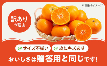 みかん 訳あり はれひめ 約3kg フルーツ 果物 みかん 訳あり BJAZ003