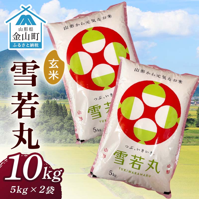 【ふるさと納税】令和7年産 金山産米 雪若丸【玄米】（5kg×2袋） 計10kg 米 お米 ご飯 玄米 ブランド米 送料無料 東北 山形 金山町 F4B-0688