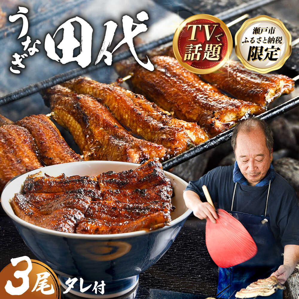 【ふるさと納税】【TVで話題沸騰！】 炭火焼き 国産うなぎ 蒲焼 3尾 / 取り寄せグルメ うなぎ 愛知県 尾張瀬戸 / 瀬戸市 / うなぎ田代[BBCA003]