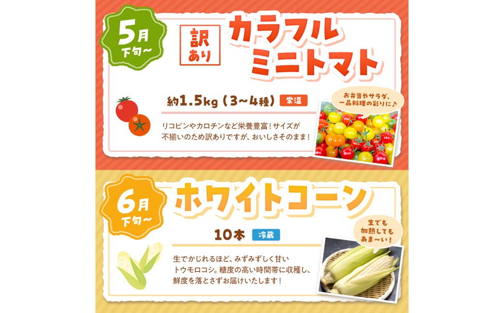 まつみやファーム獲れたて野菜・フルーツ5種定期便 ふるさと納税 果物 くだもの フルーツ ふるーつ 野菜 やさい 芋 穀物 紅はるか さつまいも いちご イチゴ 苺 ホワイトコーン 農家応援 生産者応