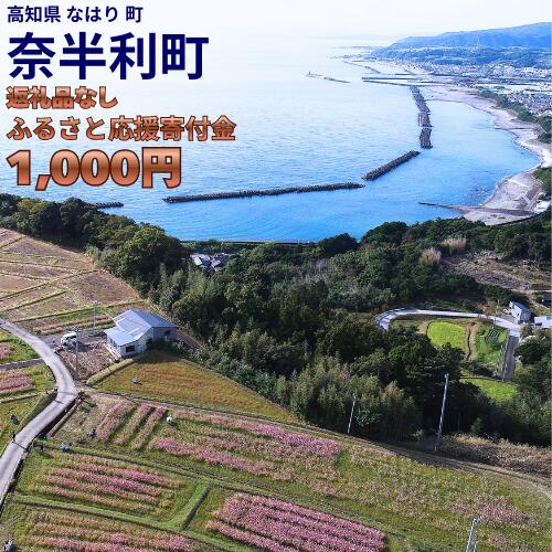 【ふるさと納税】　高知県奈半利町への応援寄附金（返礼品なし）