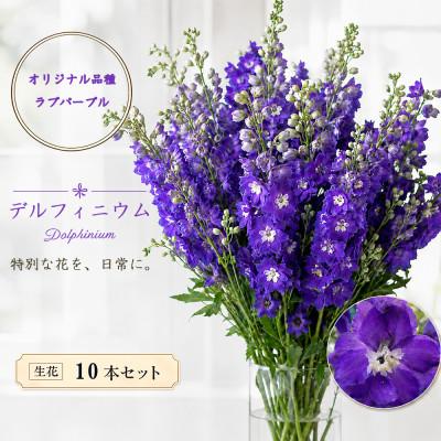 ふるさと納税 長和町 デルフィニウム 生花10本　花色:ラブパープル　〜特別な花をインテリアに〜