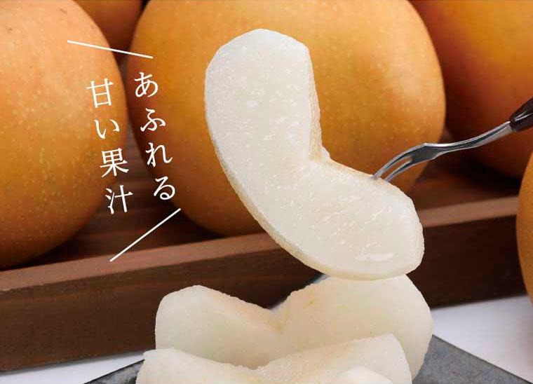 新甘泉 2.5kg【たにがみ農園】