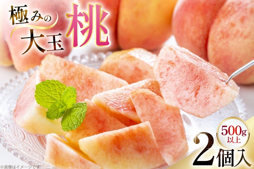 
                  【期間限定発送】 桃 さくら白桃 極みの大玉 500g以上 2玉 [東城農園 山形県 高畠町 tk06ayt370006] もも モモ 白桃 大玉 フルーツ 果物 くだもの 人気 旬 冷蔵
                