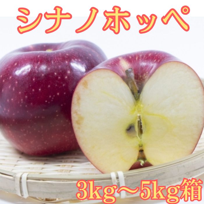 【ふるさと納税】りんご シナノホッペ 3kg箱～ ＜10月下旬より発送＞ 長野県 信州 南信州 高森町 りんご 旬のりんご 旬の果物 大野農園【配送不可地域：離島】