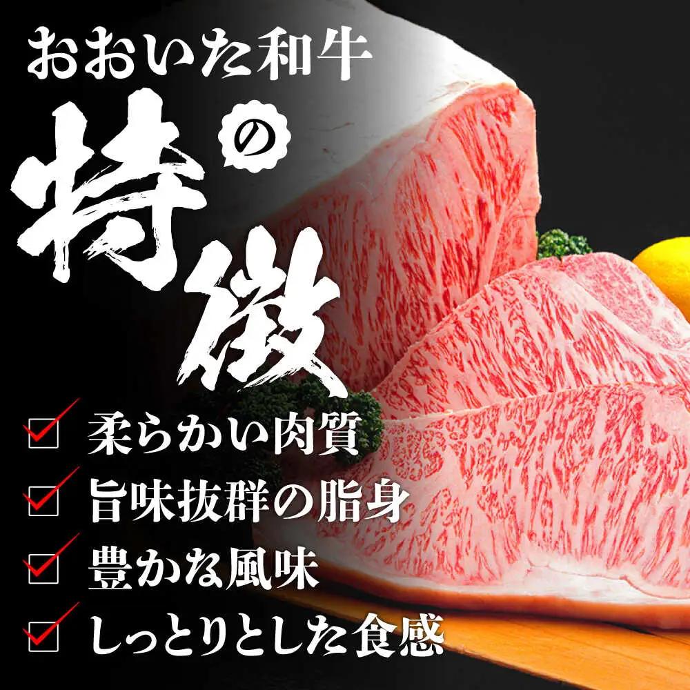 肉屋のまかないカレー(230g×8パック) 日田市 おおいた和牛 レトルト カレー [ARFE002]