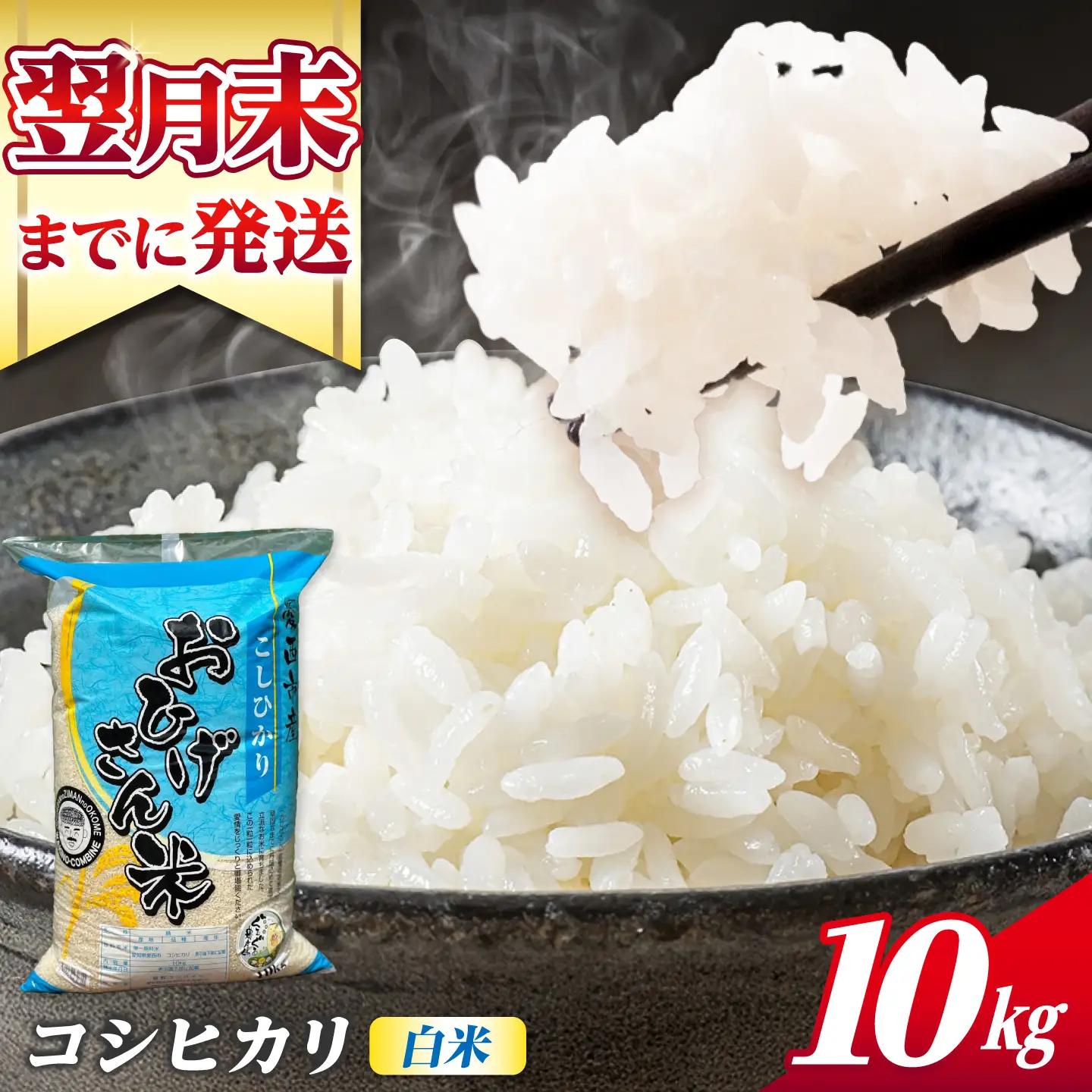 コシヒカリ 白米 10kg [AECP022-1] コシヒカリ