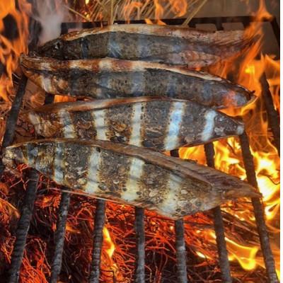 ふるさと納税 土佐市 生かつおの藁焼きたたき食べ比べセット(生姜塩・タレ・薬味付き) |  | 01
