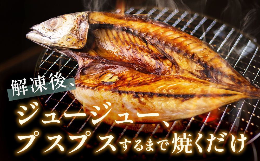 氷見 堀与 おすすめ一夜干5種セット