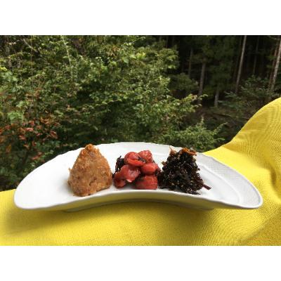 ふるさと納税 道志村 手作りご飯のおとも 4種