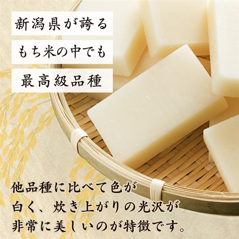 【令和8年産 先行予約】＜新潟県特別栽培＞こがねもち「切り餅」1kg (500g(10切れ)×2袋) | 弥彦村 杵つき 無添加 切餅 もち 餅 新潟県産 1キロ お正月 新年 迎春 贈答品 にいがた