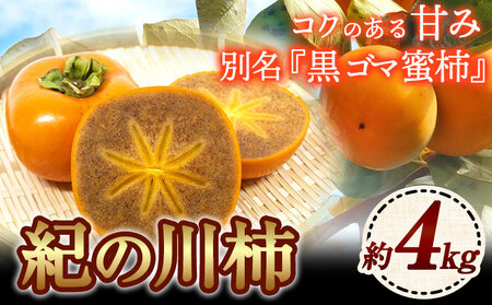 紀の川柿 約4kg 岸武青果株式会社《10月中旬-12月中旬頃出荷》 和歌山県 紀の川市 柿 カキ かき 黒ゴマ蜜柿 果物 フルーツ 送料無料