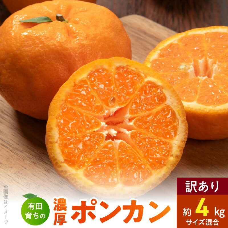 【ふるさと納税】【限定】 【2026年先行予約】【極甘柑橘】 有田育ちの 濃厚 ポンカン 【訳あり 家庭用】4kg (サイズ混合)