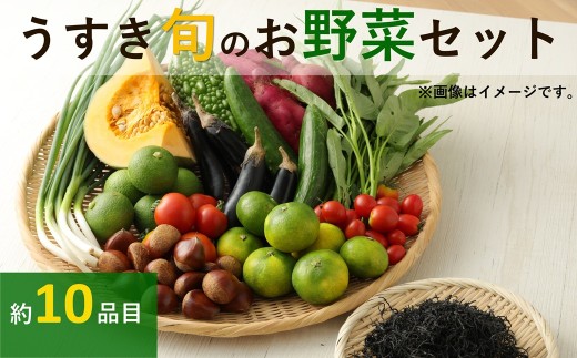 葉なファームセレクト　うすき旬のお野菜セット