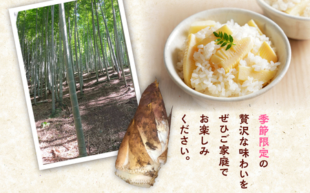 大多喜町平沢産　春の味覚「白筍」 W05403