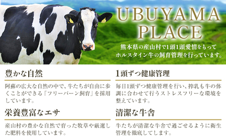 ホルスタインミルク 100％ 使用 産山ヨーグルト15個 株式会社UBUYAMAPLACE《30日以内に出荷予定(土日祝除く)》熊本県 阿蘇郡 産山村 ヨーグルト 乳製品 ホルスタイン 朝食 おやつ 