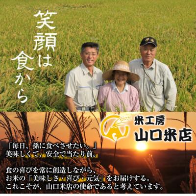 ふるさと納税 霧島市  《令和7年産新米 先行受付中》コケコッコ(TKG専用米)計20kg!【山口米店】　D-052 |  | 01