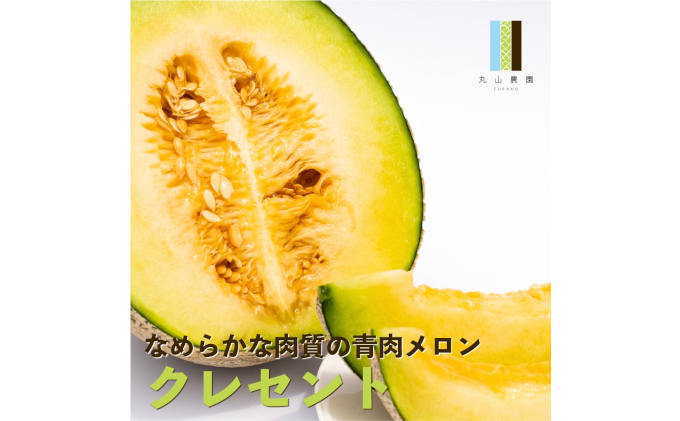 【2024年7月発送】数量限定・先行受付 北海道 富良野産 赤肉・青肉メロン 2玉 セット 4kg以上 (ふらの 丸山農園)