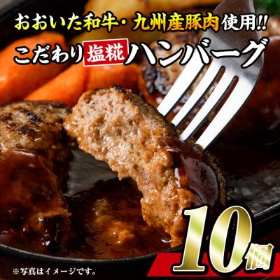 ふるさと納税 佐伯市 塩糀 ハンバーグ (合計1.2kg・120g×10個 ハンバーグソース×10個付)