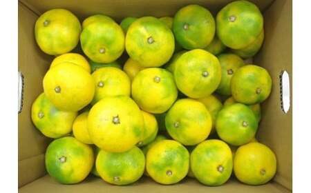 L-71 山本農園の小玉早熟みかん ５ｋｇ　みかん ミカン 蜜柑 たらみかん 太良みかん 温州みかん 完熟みかん 甘熟 早熟 柑橘 国産 佐賀県産 太良町 こだわり 有機栽培 産地直送 贈答品 詰め合