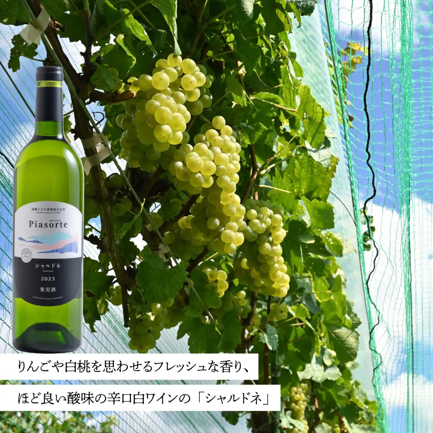 南郷ひなた農園 日本ワイン ピアソルテ シャルドネ2023 750ml × 1本 青森県 八戸市