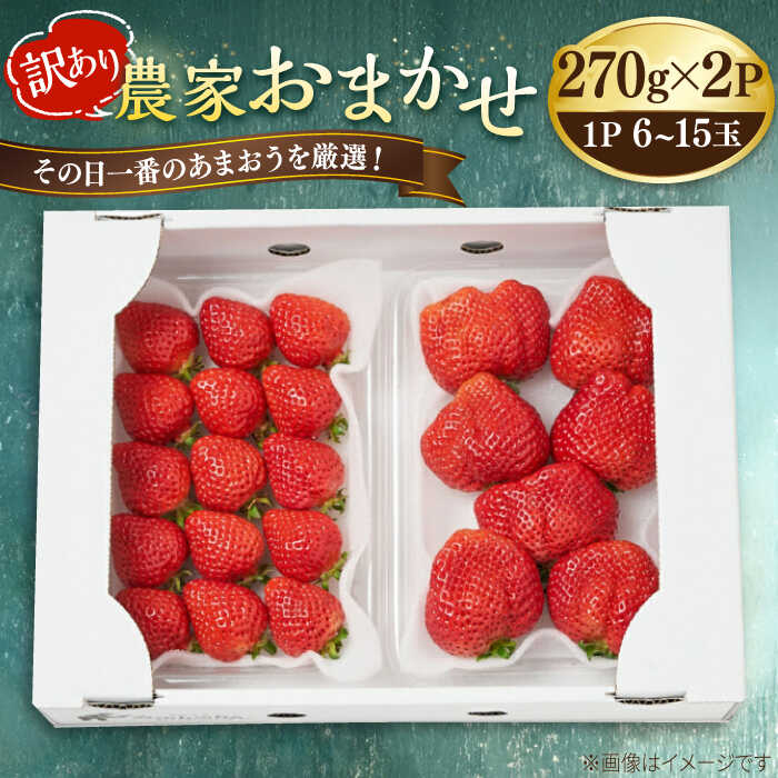 【ふるさと納税】【先行予約】【農家直送！】 訳あり あまおう 農家おまかせ 270g×2パック【2026年1月以降順次発送】 糸島市 / みのりのりん [ABD004] 12000円