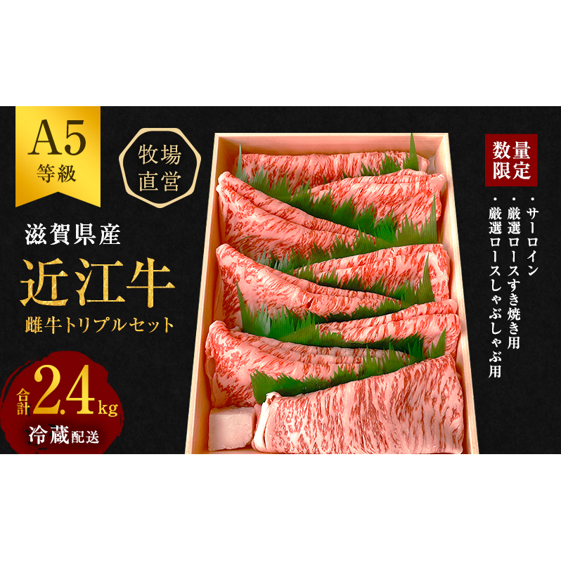【最短1週間発送】 【数量限定】 A5ランク 近江牛 肉 牛肉 雌牛 厳選トリプル ふるさと納税 黒毛和牛 滋賀県 豊郷町