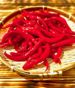 【熊野唐辛子】プサジュエラ（乾燥） 1000g