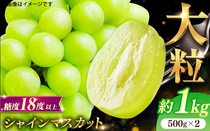 
            【★先行予約★　2026年8月下旬以降発送】シャインマスカット 2房セット 約1kg ますかっと シャインマスカット しゃいんますかっと ぶどう 果物 くだもの 種なし 皮ごと 旬 福岡 葡萄 フルーツ 予約 お取り寄せ 旬 大きい 人気 シャインマスカット 広川町 / JAふくおか八女農産物直売所どろや [AFAB012]
          