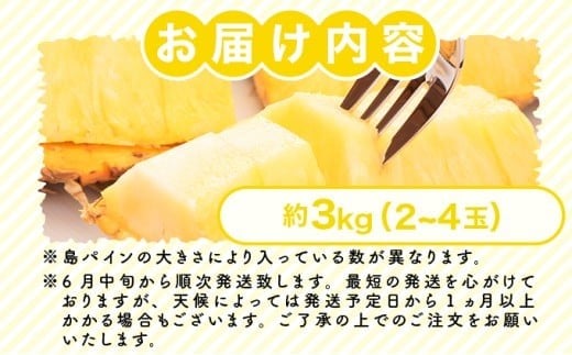 2026年 先行予約 島パイン (ハワイ種) 約3kg (2～4玉) パイナップルの王道 西表島産 パイン 果物 フルーツ