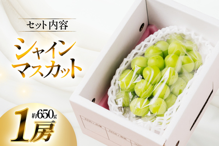 【期間限定発送】 シャインマスカット 1房 約 650g [いわた果樹園 山形県 高畠町 tk06ayt400000] ぶどう ブドウ 葡萄 フルーツ 果物 くだもの 甘い