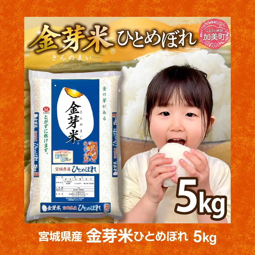 【共通返礼品】宮城主役ごはんセットB【まぐろたたき（80ｇ×5）×金芽米（5ｋｇ）】 | w-sk-b