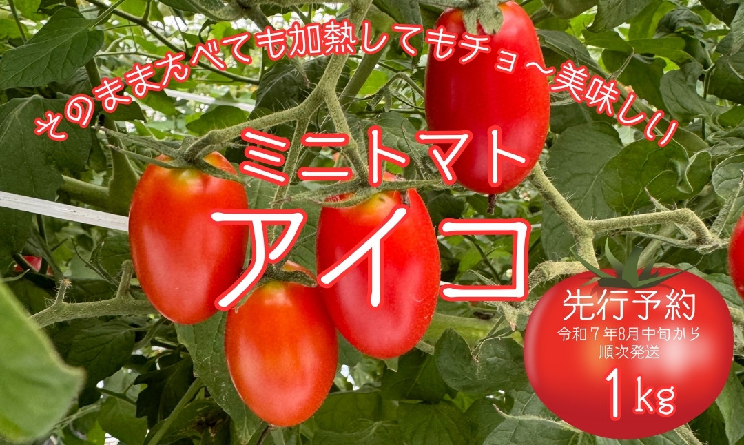 
            【先行予約】令和7年8月中旬から順次発送  ミニトマト アイコ 1kg 酸味 みずみずしさ とまと トマト 野菜 夏秋 ぴの山ファーム 奈良県 奈良市 なら 9-100
          