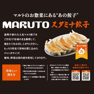 【定期便/計3回】マルトオリジナル 冷凍ジャンボぎょうざ&冷凍スタミナぎょうざ 15個入×各種1袋（30個）計90個 | 福島 いわき マルトオリジナル ジャンボぎょうざ 冷凍餃子 パンチ系餃子 食べ