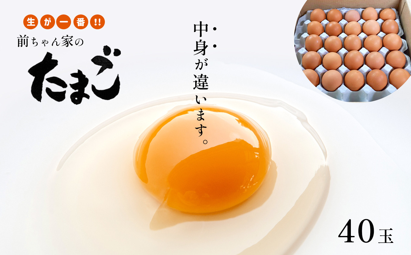 
新鮮 生が一番 前ちゃん家のたまご 赤玉子 40玉
